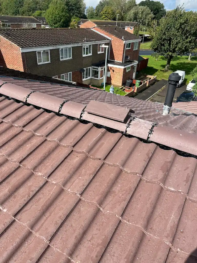A view of a residential area from a rooftop. Houses with brick exteriors and dark roofs are visible. A chimney protrudes from the roof in the foreground, while a street lined with green trees and grass can be seen below.